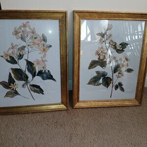 2 matching PROVIDENCE floral framed wal art prints / watercolor / 16" x 20"